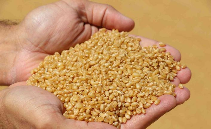 Geleneksel yöntemle üretip dört bir yana pazarlıyorlar