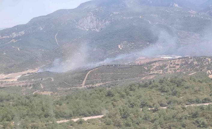 İzmir’deki orman yangını kontrol altında