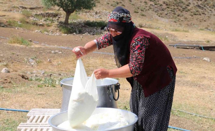 Kahvaltı sofralarına 3 bin rakımdan gelen lezzet: Erzincan tulum peyniri