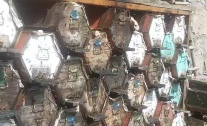 Kara kovanda üretilen Anzer Balı 8 bin TL’den alıcı buluyor