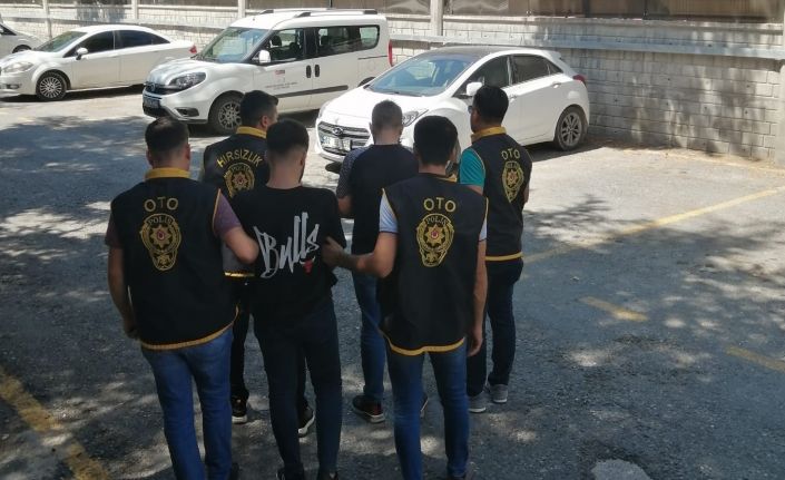 Kayısı hırsızları tutuklandı