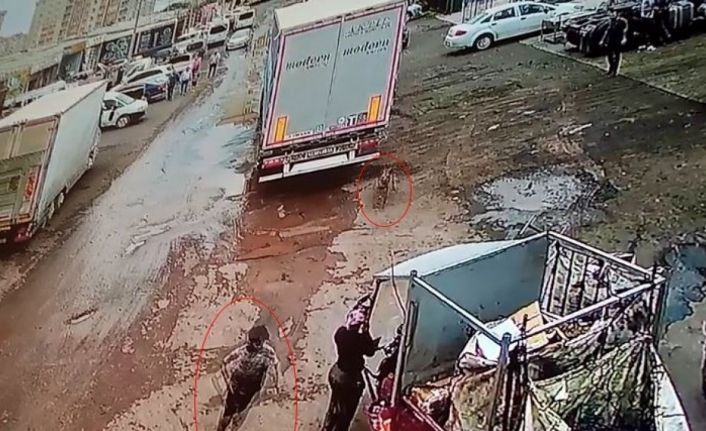 Köpekten kaçan 12 yaşındaki çocuğa araba çarptı: O anlar kameralara yansıdı