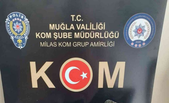 Milas’ta Diaspor taşı ele geçirildi