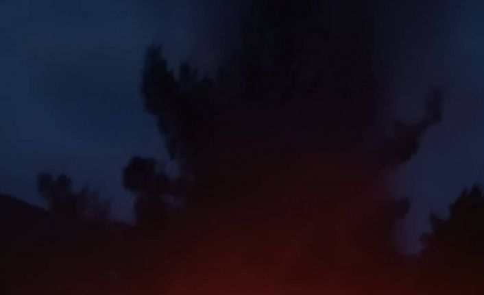 Orman yangınına 17 yıl itfaiye şoförlüğü yapmış olan muhtar yetişti