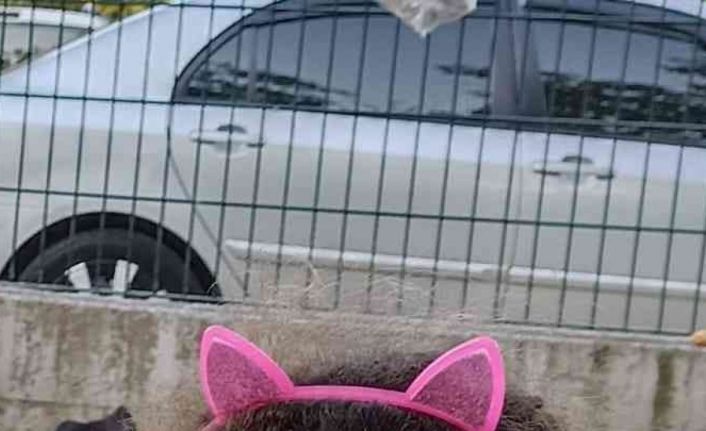 Ormanda kafasına tomruk parçası çarpan 6 yaşındaki kız çocuğu hayatını kaybetti