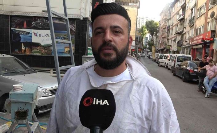 (Özel) Bursa’da kraliçe arı ortalığı karıştırdı