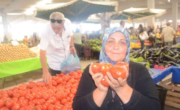 (ÖZEL) Salçalık domates ve biber sezonu başladı