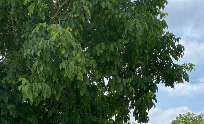 Pazaryeri’nde traktör ile motosiklet çarpıştı;1 yaralı