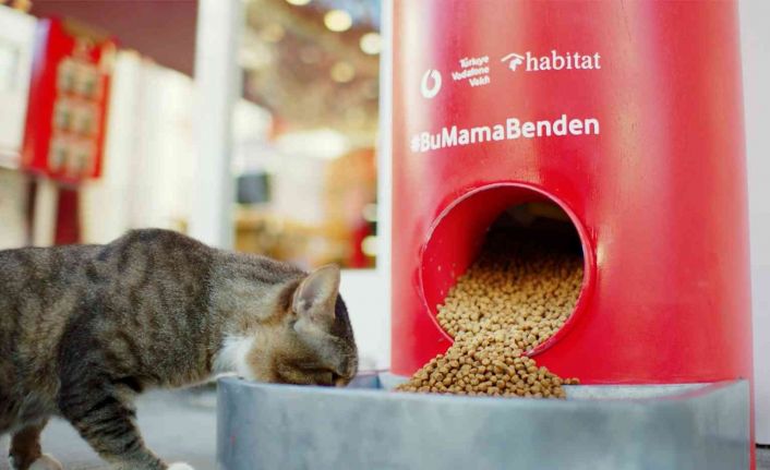 Pet shop alışverişi sokak hayvanları için mamaya dönüşüyor