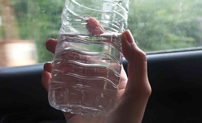 Prof. Dr. Arıca uyardı: “Araç içinde sıcakta 2,3 saatten fazla bulunmuş sıvıyı tüketmemeliyiz”