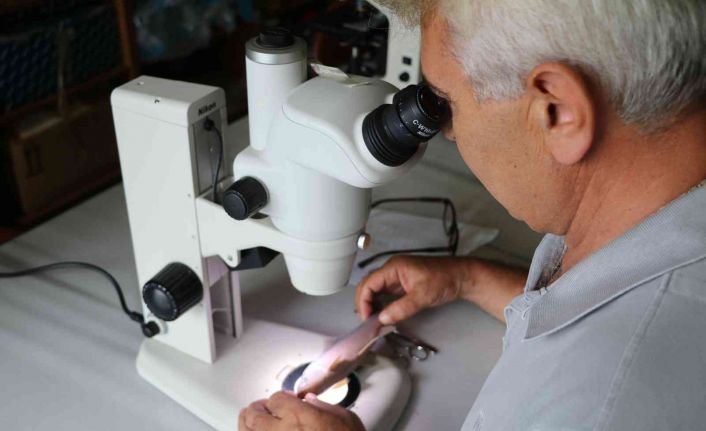 Rizeli akademisyenler dünya balık faunası için 5 yeni sazan cinsi keşfetti