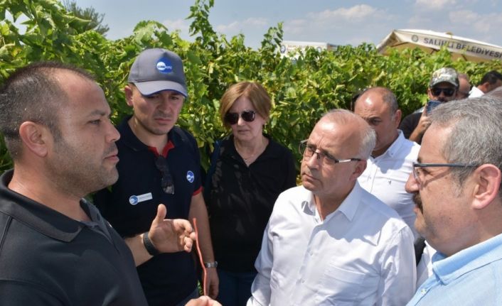 Salihli’de örnek proje tarla günü ile kutlandı