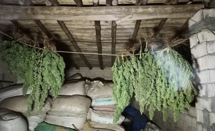 Şanlıurfa’da uyuşturucu operasyonu