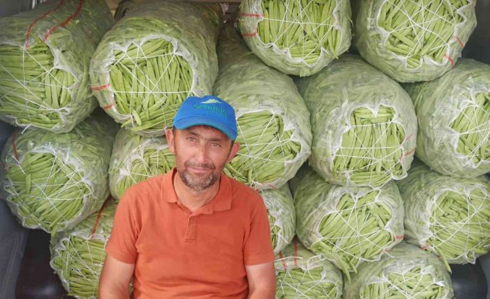 Satış fiyatı 6-7 TL’ye düşen fasulye bu kez üreticisini üzdü