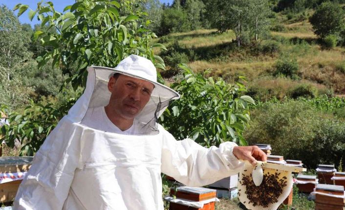 Şeker hastaları için bal üretiyor