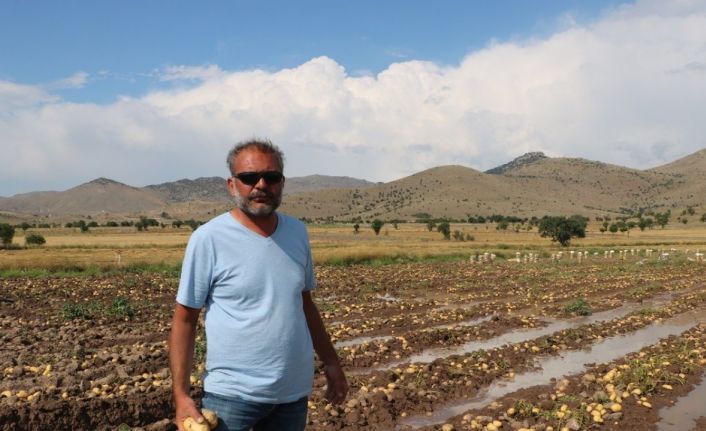 Sel basan tarlada toplanmaya bekleyen 35 ton patates sular altında kaldı