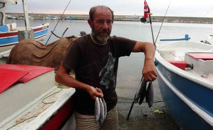 Sezonun başlamasına sayılı günler kala palamudun görüntüsü bol olacağı yönünde