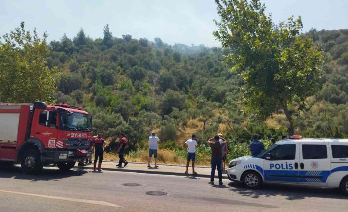 Söke’deki yangın kısa sürede kontrol altına alındı: 3 dönümlük arazi zarar gördü