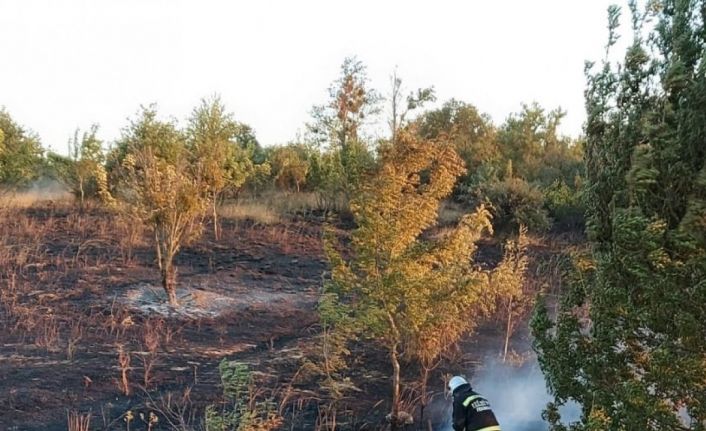 Tekirdağ’da binlerce arı diri diri yandı: 15 yıllık emek kül oldu