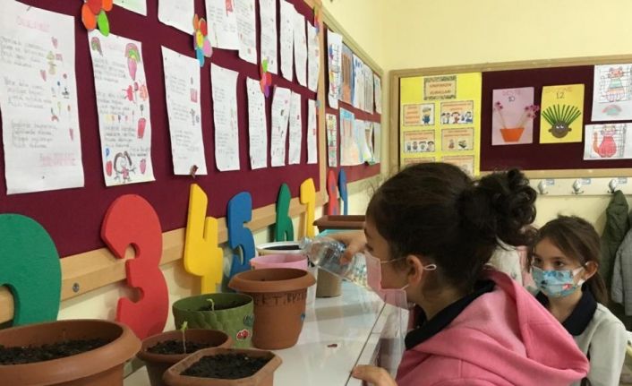 TEMA Vakfı Sinop’ta 1524 çocuğa ulaştı