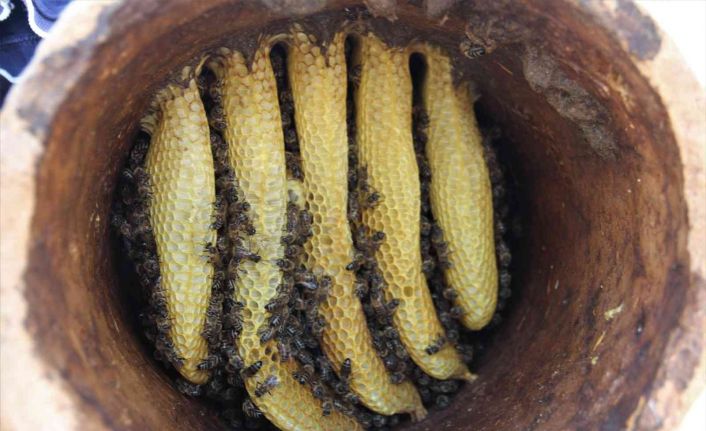 Toprak kovanda üretilen bal büyük ilgi görüyor