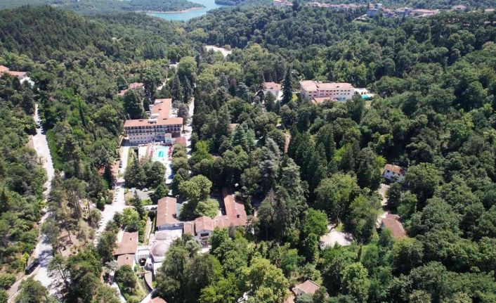 Türkiye’nin ilk ağaç müzesi ziyaretçilerini mest ediyor