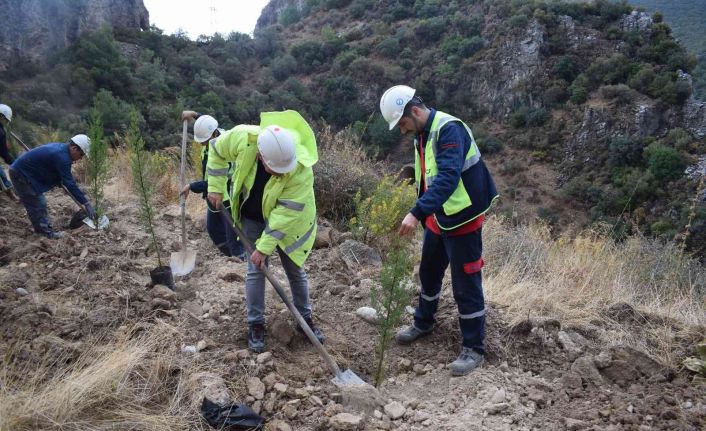YK Enerji son 3 yılda 1 milyonu aşkın fidanı toprakla buluşturdu