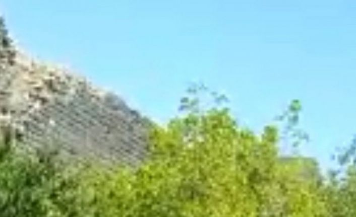 Yolunu bulamayan görme engelli vatandaşa polisten yardım eli