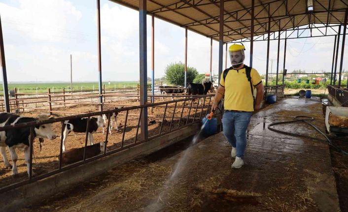 Yüreğir’de vektörle mücadele