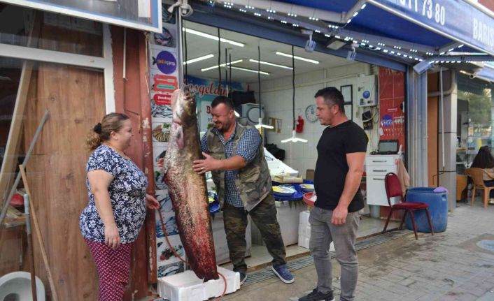 4 kişinin oltayla zor yakaladığı 80 kiloluk dev balığı görenler bakakaldı
