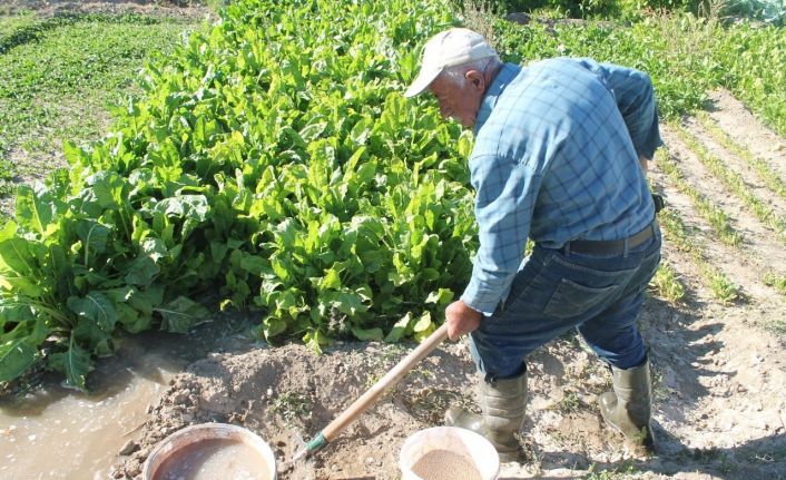 69 yaşındaki baba bağda üretiyor genç oğlu tezgahta satıyor