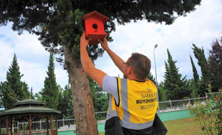 Atık ahşaplar kuşlara yuva oldu