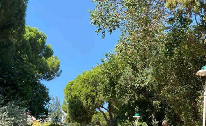 Aydın’da narkotik polisinden okul çevrelerinde sıkı denetim