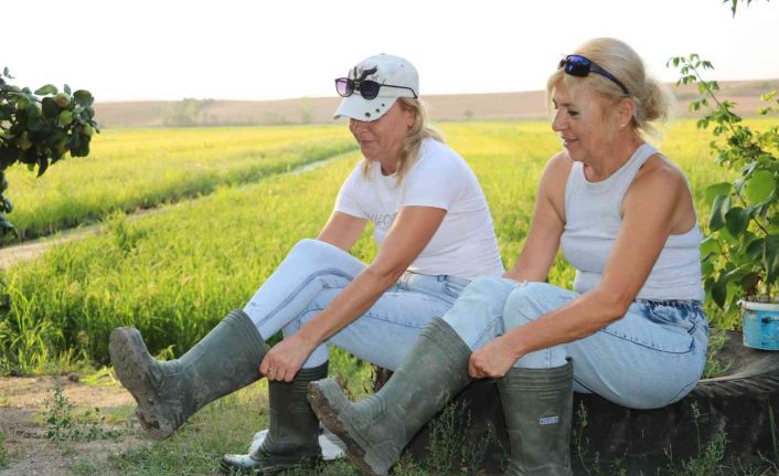 Baba mesleğini sürdüren 2 kız kardeş, çeltikte yüksek verim ve kalite bekliyor