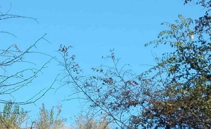 Bahçesindeki otları temizlemek için ateş yaktı, alevlerin arasında kalıp hayatını kaybetti