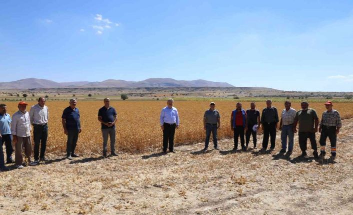 Başkan Dr. Palancıoğlu: “Bölge tarımına destek; Aspir tohumları hasat edilmeye başlandı”