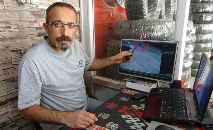 Boynuna ip dolanan koyun, bir esnaf tarafından kurtarıldı