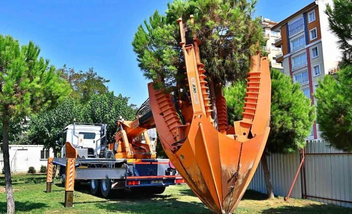 Buca Metrosu inşaatı sürüyor: Ağaçlar taşınarak koruma altına alınıyor