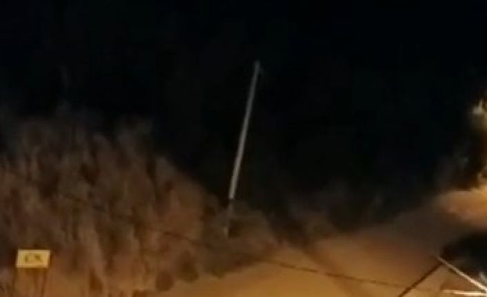 Bursa’da aç kalan domuzlar şehir merkezine indi