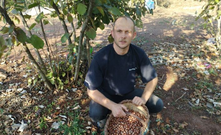 Bursa’daki köyü gören Karadeniz sanıyor...Yılda 60 ton fındık üretiyorlar