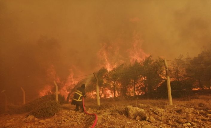 Büyükşehir İtfaiyesi, Mersin’deki orman yangınlarını için canla başla görev yaptı