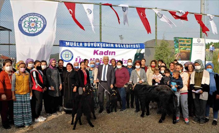Büyükşehir Yatağan’da kıl keçisi dağıtacak