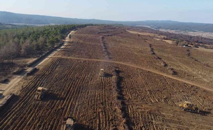 Çanakkale’de küle dönen 580 hektar alanda, 1 milyon fidan toprakla buluşturuluyor