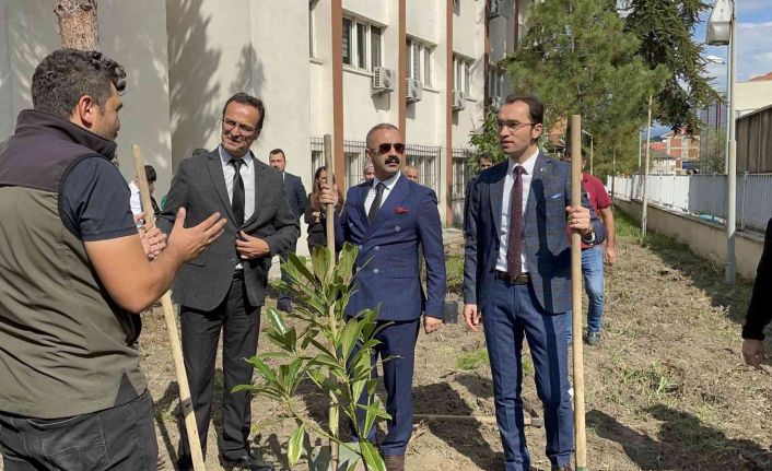 Çaycuma Adliyesi’nde fidan dikimi yapıldı