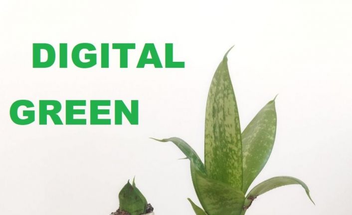 Çevre sorunlarına çözüm üretecek proje hibe desteği almaya hak kazandı