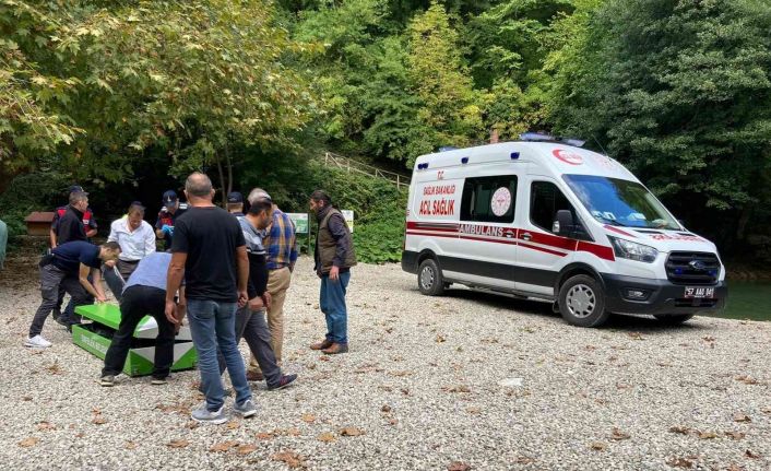Denizli’den Sinop’a gezmeye giden ailenin üzerine ağaç devrildi: 2 ölü, 1 yaralı