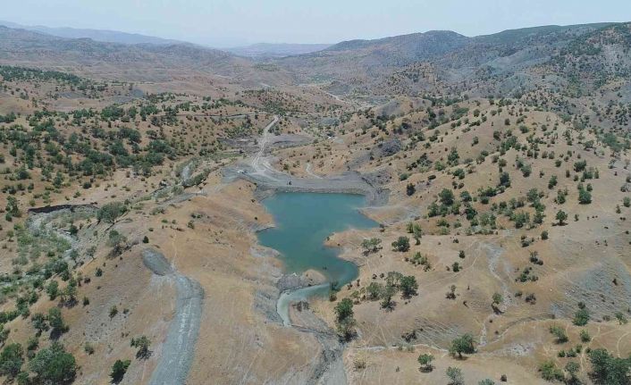 DSİ’den Siirt hayvancılığına katkı