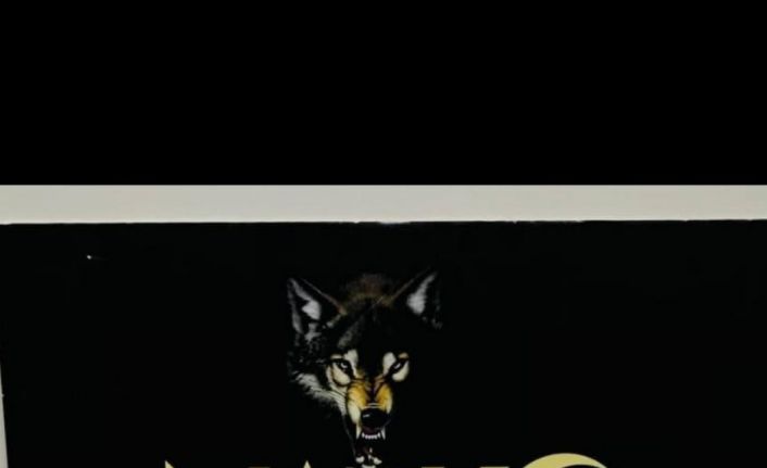 Ectasy hap ile yakalanan 1 kişi tutuklandı