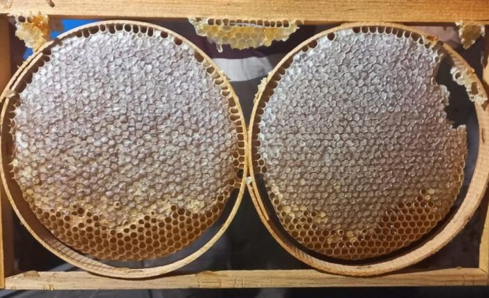 Emet’te Arıcılığı Geliştirme Projesi’nde 4 ayda 7 ton bal elde edildi