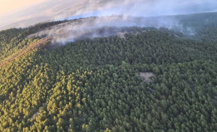 Eskişehir’deki yangında 10 hektarlık meşe ve karaçam ormanı zarar gördü